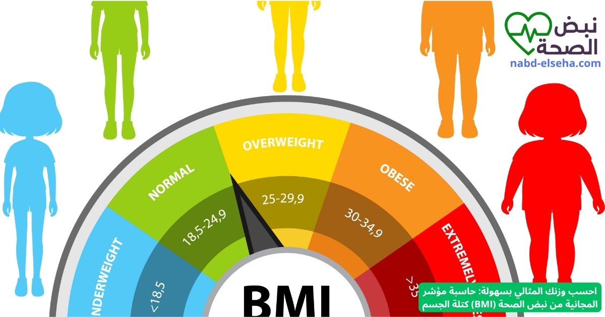  BMI 
